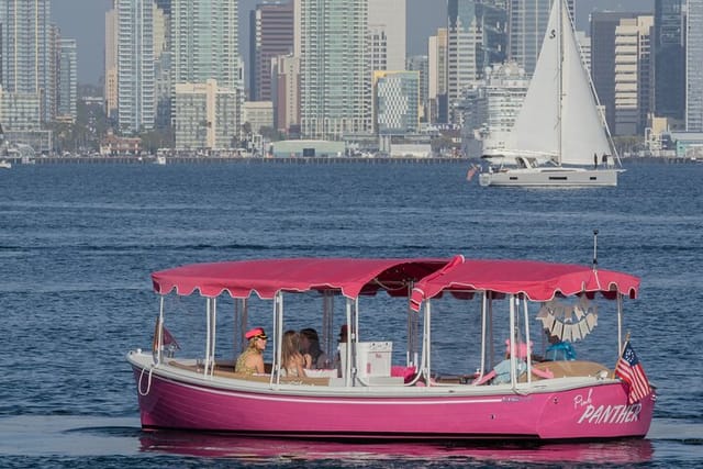 2 Hour Private Pink Boat Charter in San Diego. Sightseeing tour - Photo 1 of 19